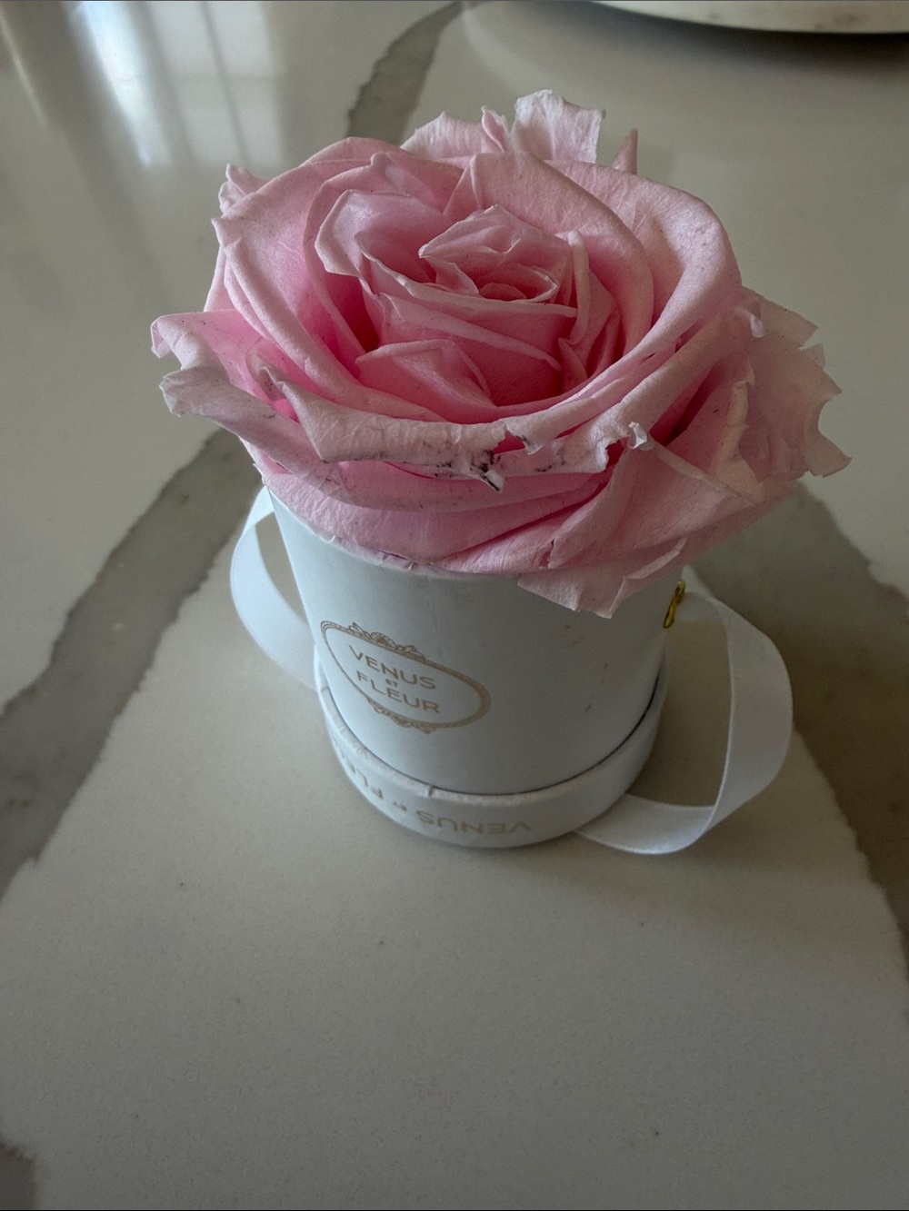 Venus Et Fleur Petit Round - Picture 2 of 7